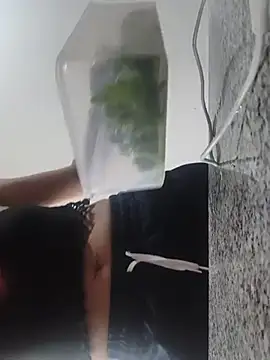 Anastacia_lasexy