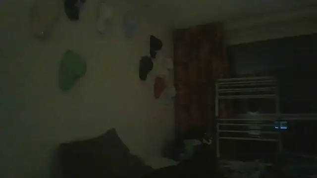 Timson00001 webcam