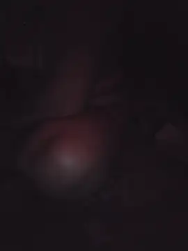 Misti_Vabi