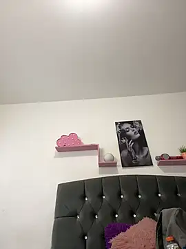 Aria-1212 webcam