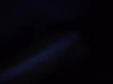 Ebony_squiter