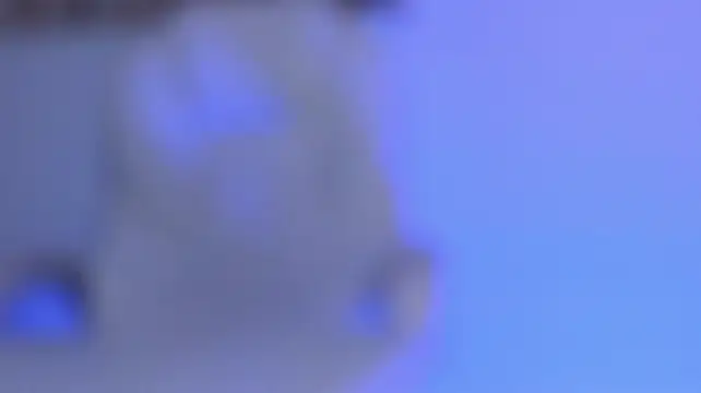 veronicafalcon