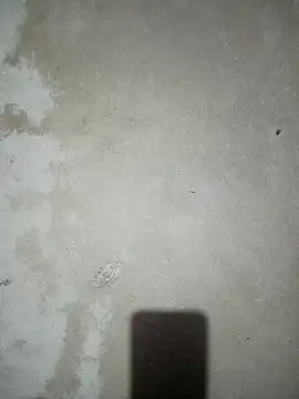 maymayrose68 live sex cam