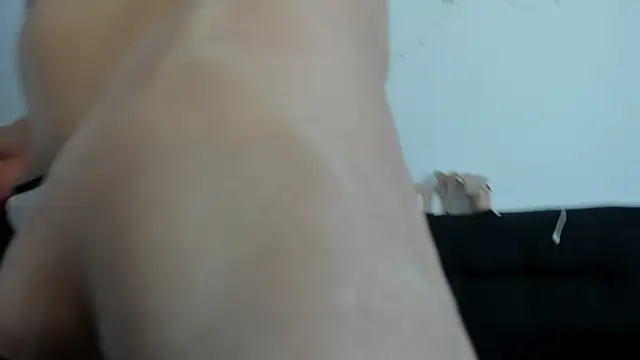 Modèle: barbie_ds