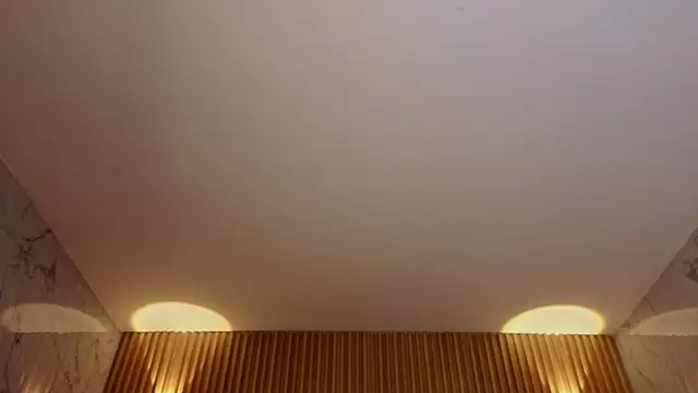 artemisa_ch1