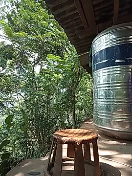 Td3di