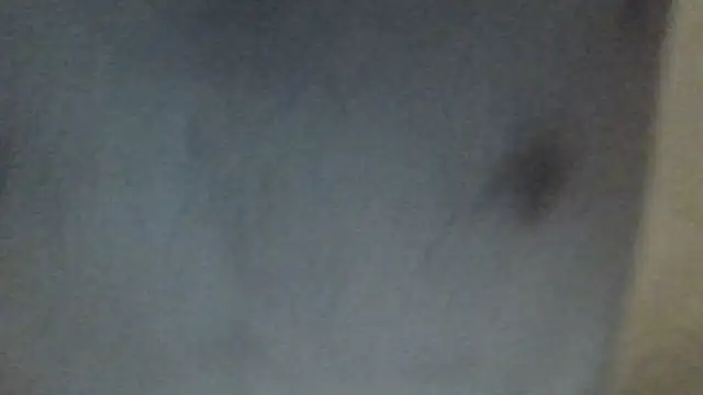 VersGuy7 live cam on StripChat