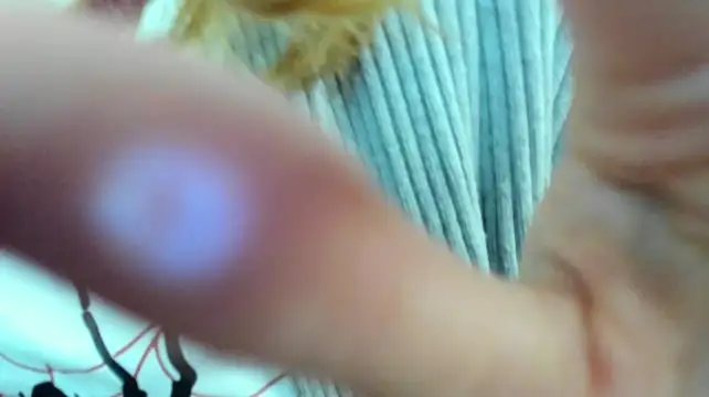 ReddHotPipper
