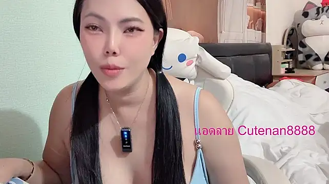 Nancymodel