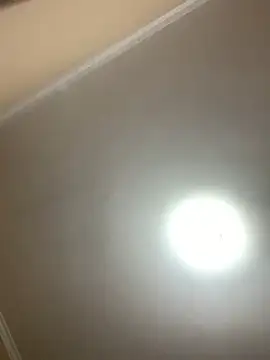 bom_e_novo_08