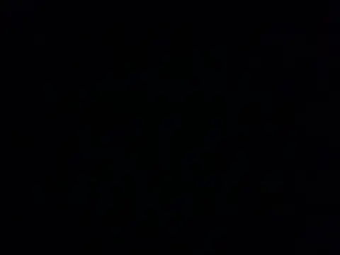 Ldnick69