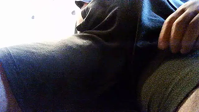 opreatiby live cam on StripChat