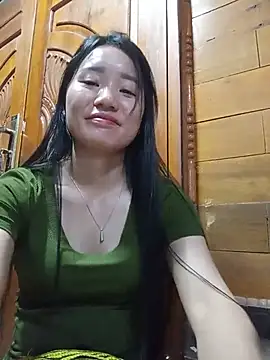 Td3di webcam