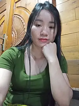 Td3di webcam