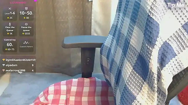 punemodel