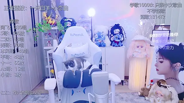 LazyCat94624
