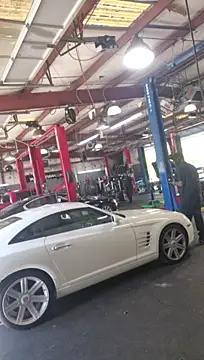 chronic_vibez live cam preview
