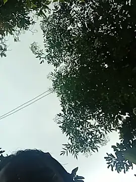 Sofia_Cordero