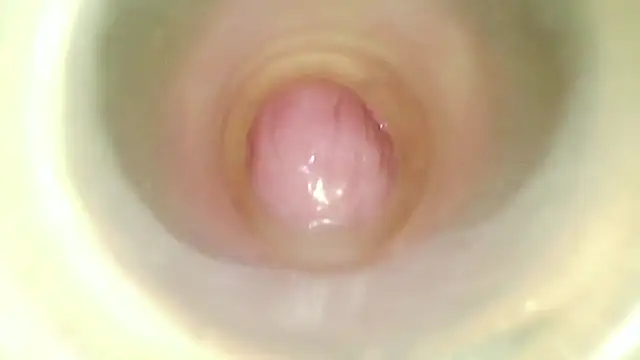 karol_stom