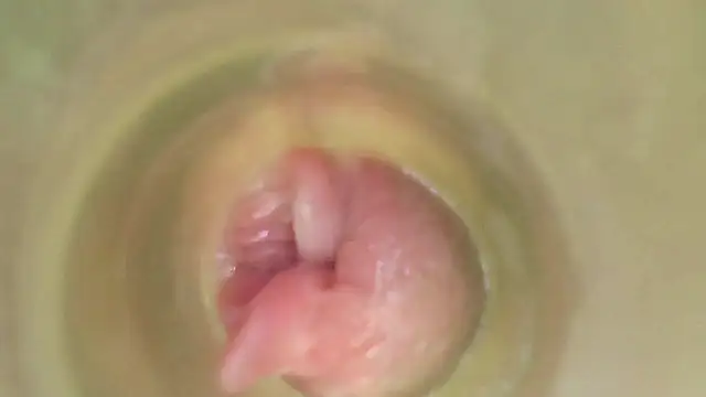 karol_stom