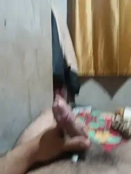 pauzudo011zL