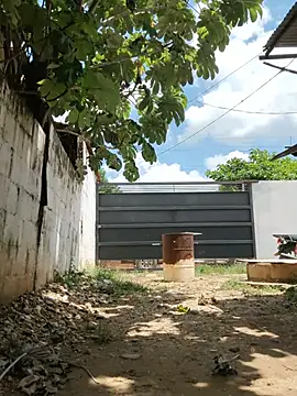 PIGHIGHDIRTY_p0