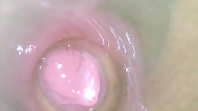 karol_stom
