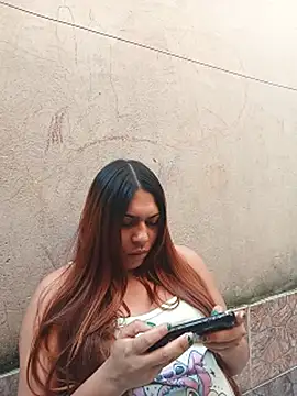 Modelo: TransBollat