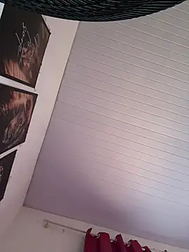 Bellatrans__