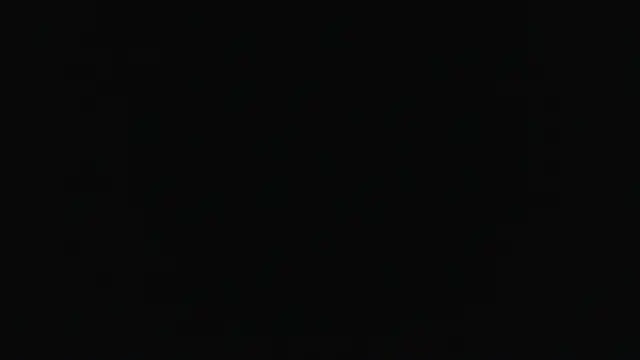 zoom1455
