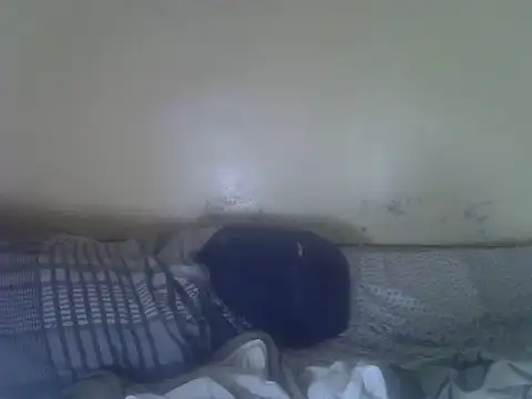 cute-shamza live cam on StripChat