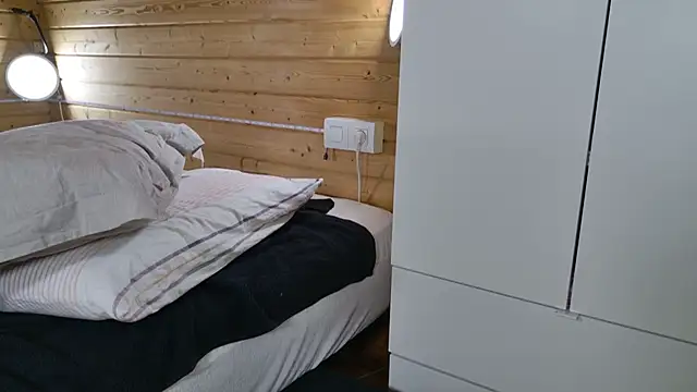 wild41 live cam