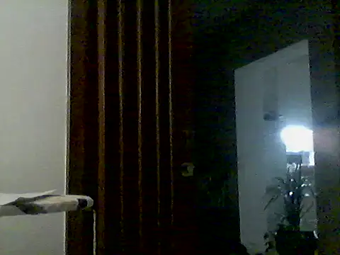DalmatianCroatia live cam on StripChat