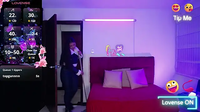 ariel_1_