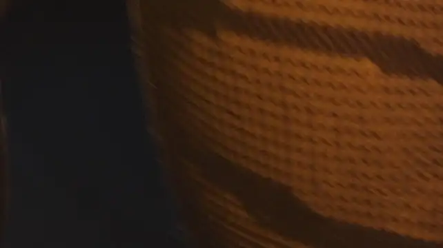 ImaraBrown live cam preview