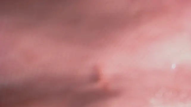 leah_bx