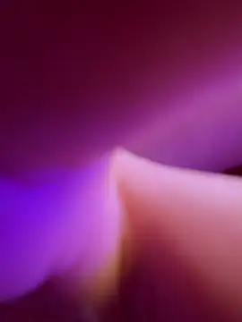Woo_isDaphne
