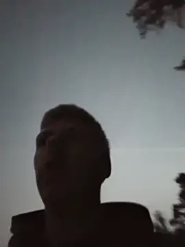 W3rtzuio