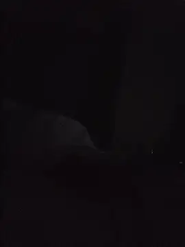 SingingTrunks