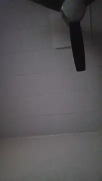 Maxammo2026 live sex cam