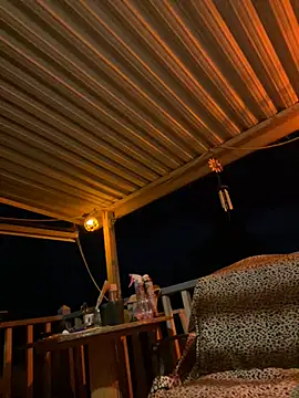 tsashelayamylynzy