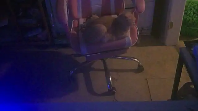 nastydianastrips