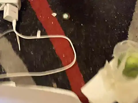 Paris Slut (ParisSlut)
