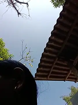 toyo_668