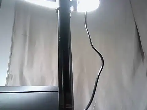Lily_byb