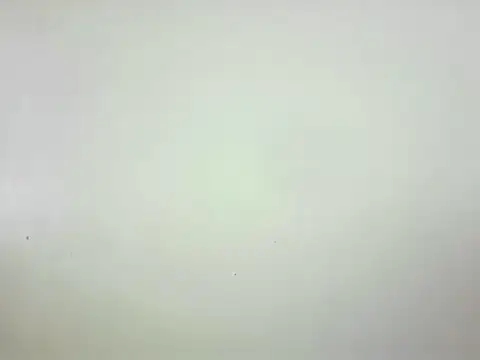 Bitchcoin_x
