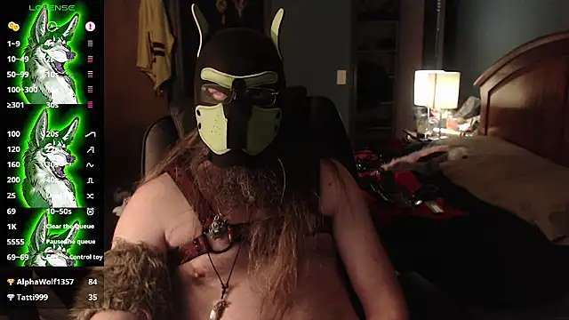kinkywolf429