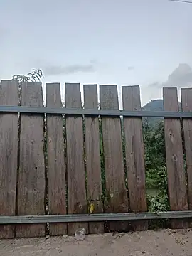 Linda-yiyi live cam