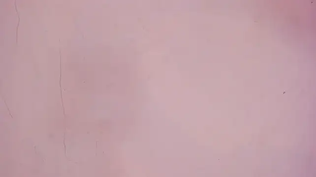 Mia_Tailor_Bms