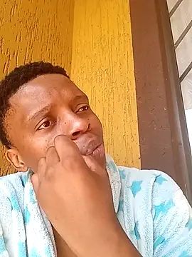 Vele081
